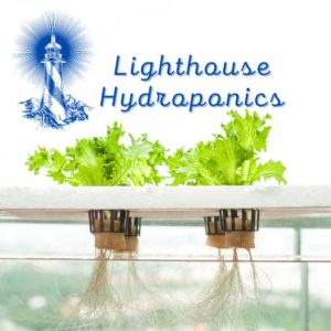 Lighthouse DIY Hydroponics Logo